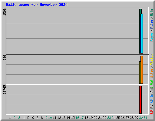 Daily usage for November 2024