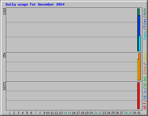 Daily usage for December 2024