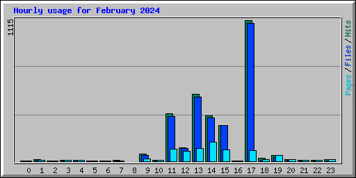 Hourly usage for February 2024