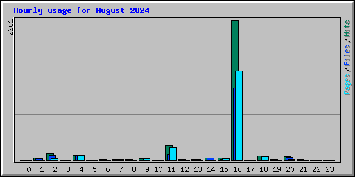 Hourly usage for August 2024